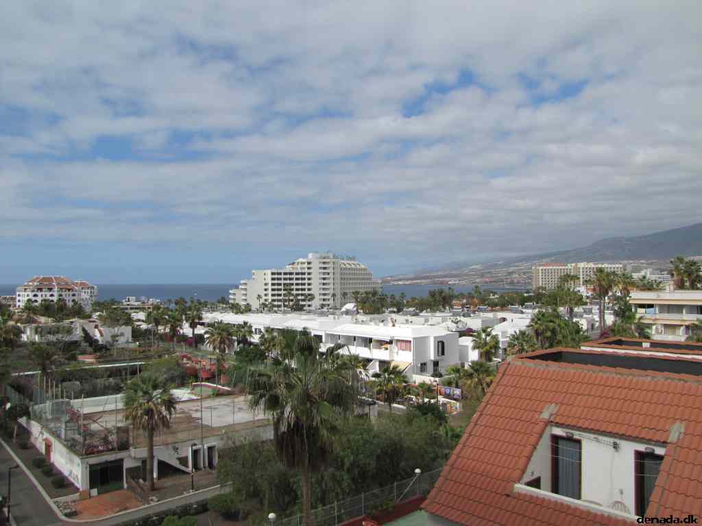 * Image 16