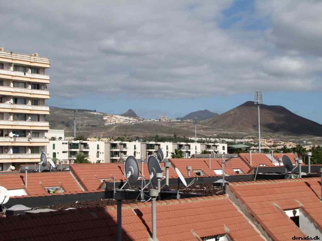 * Image 19