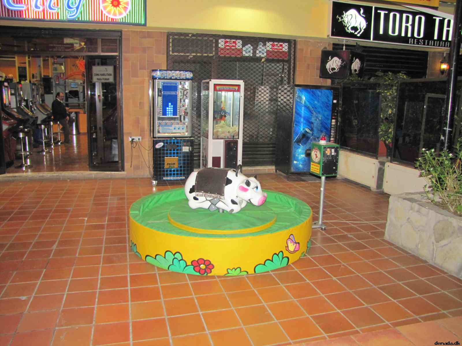 * Image 65