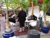 20100125_181137.jpg - 2010:01:25 18:11:37