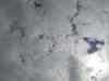 20100126_130856.jpg - 2010:01:26 13:08:56