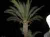20100126_211920.jpg - 2010:01:26 21:19:20