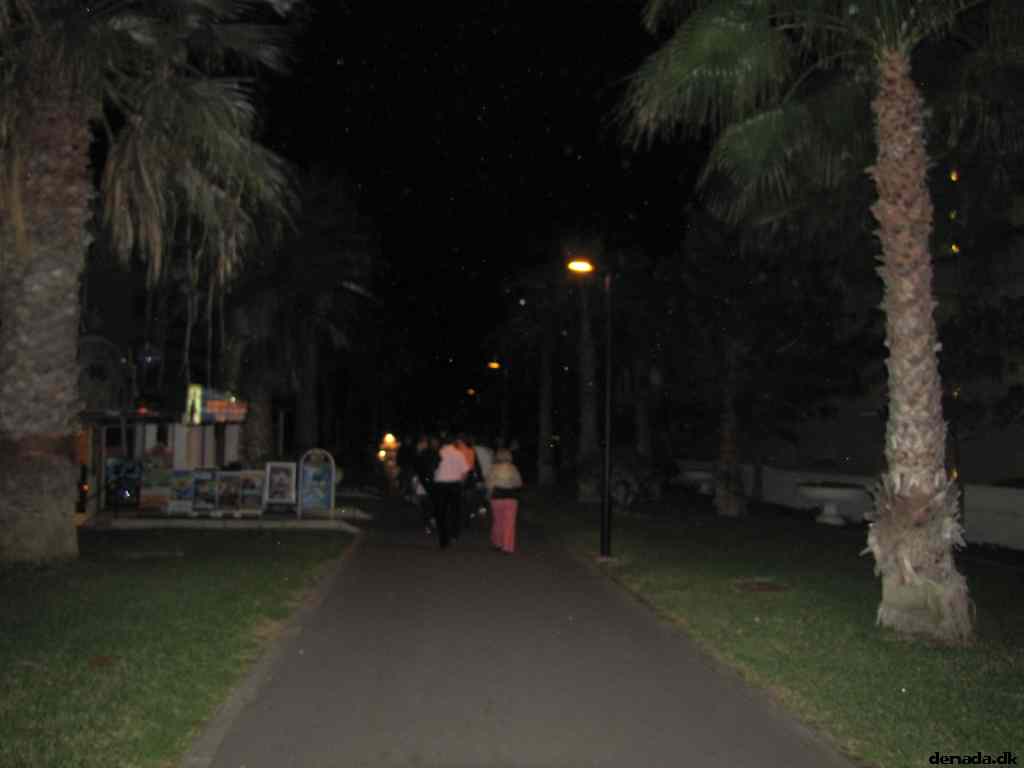 * Image 21