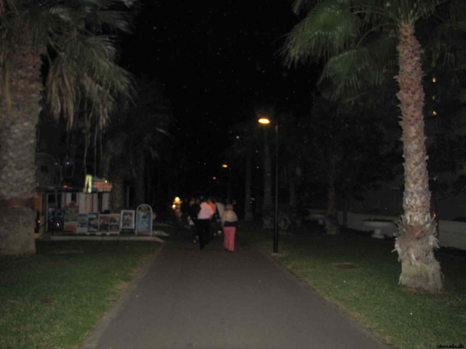 * Image 21