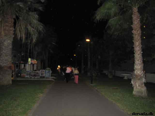 * Image 21