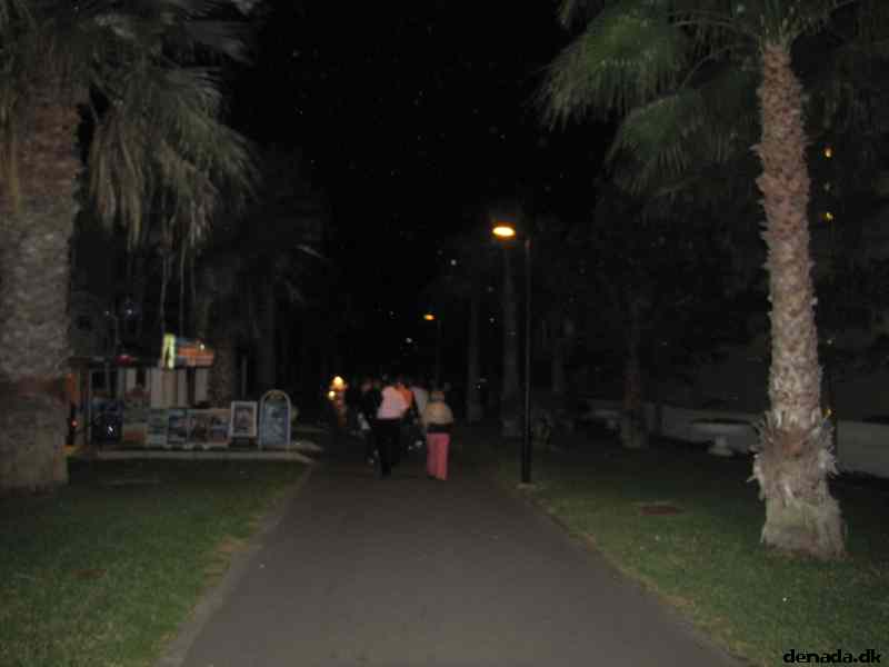 * Image 21