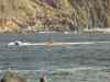 20100129_155726.jpg - 2010:01:29 15:57:26