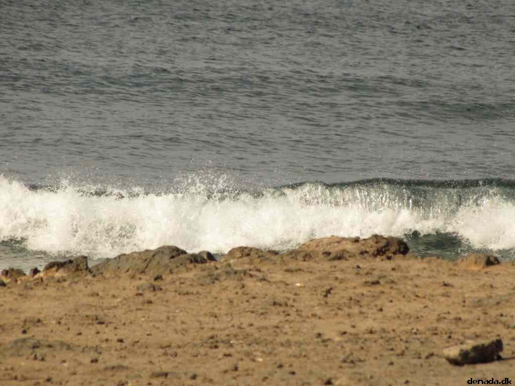 * Image 40