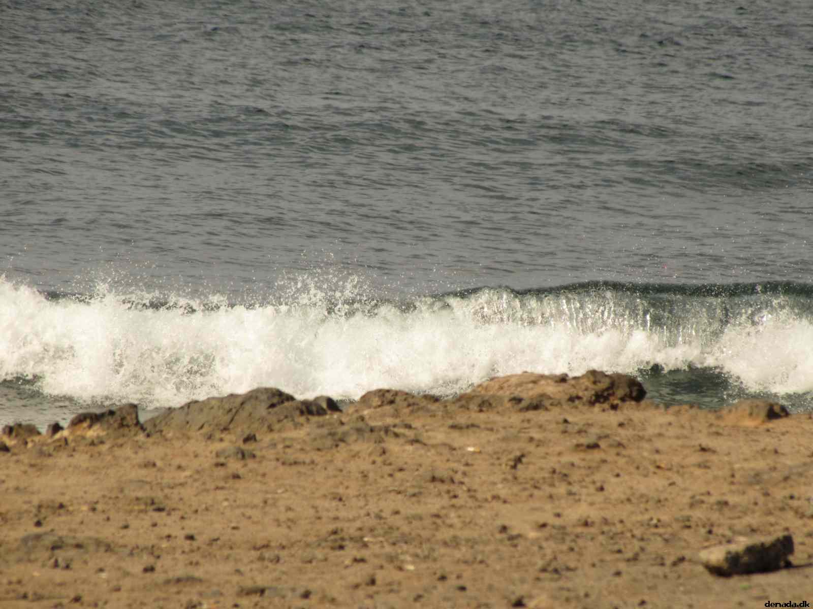 * Image 40