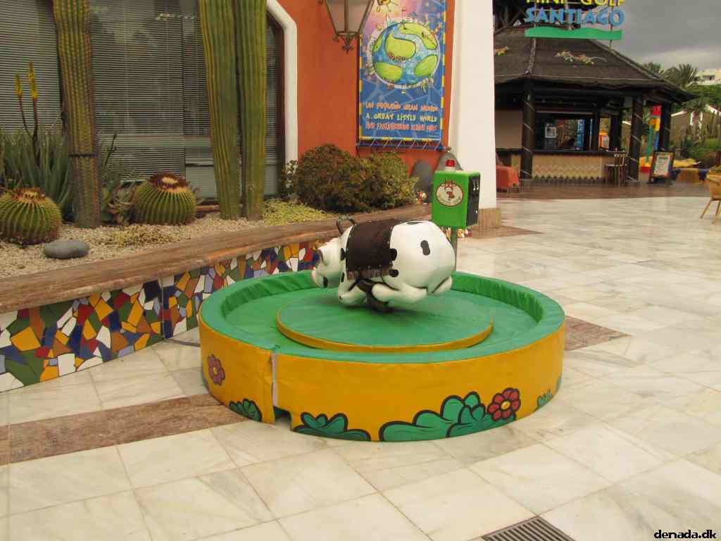 * Image 4