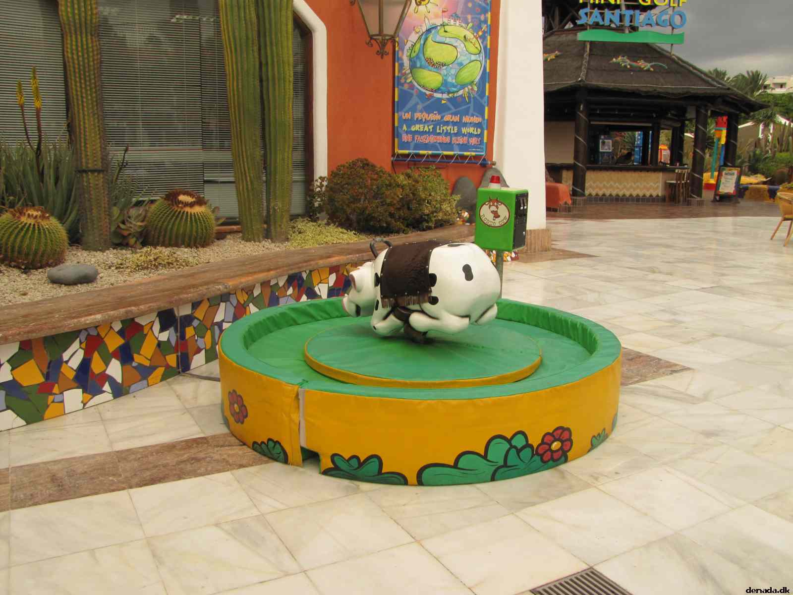 * Image 4