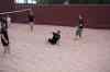 tenerife1156.jpg - 2010:01:28 19:22:51