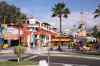 tenerife1419.jpg - 2010:01:29 12:33:21