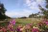 tenerife1463.jpg - 2010:01:29 14:45:15