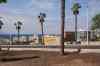 tenerife1465.jpg - 2010:01:29 14:51:47