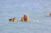 tenerife1498.jpg - 2010:01:29 15:37:33
