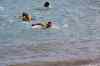 tenerife1527.jpg - 2010:01:29 15:52:02