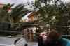 tenerife1863.jpg - 2010:01:30 15:39:43