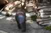 tenerife1941.jpg - 2010:01:30 16:10:03
