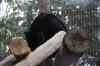 tenerife2038.jpg - 2010:01:30 16:40:10