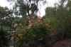 tenerife2158.jpg - 2010:01:30 17:07:22