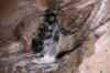 tenerife2223.jpg - 2010:01:30 17:22:37