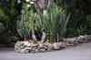 tenerife2226.jpg - 2010:01:30 17:25:29