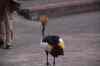 tenerife2278.jpg - 2010:01:30 17:32:09