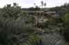 tenerife2301.jpg - 2010:01:30 17:58:04