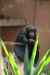 tenerife1919.jpg - 2010:01:30 16:04:23