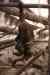 tenerife1963.jpg - 2010:01:30 16:16:02