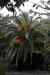 tenerife2164.jpg - 2010:01:30 17:09:19