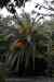 tenerife2165.jpg - 2010:01:30 17:09:19