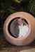 tenerife2294.jpg - 2010:01:30 17:56:07
