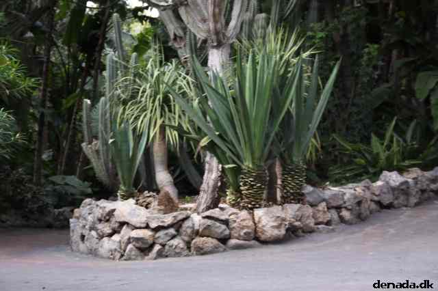 * Image 1937