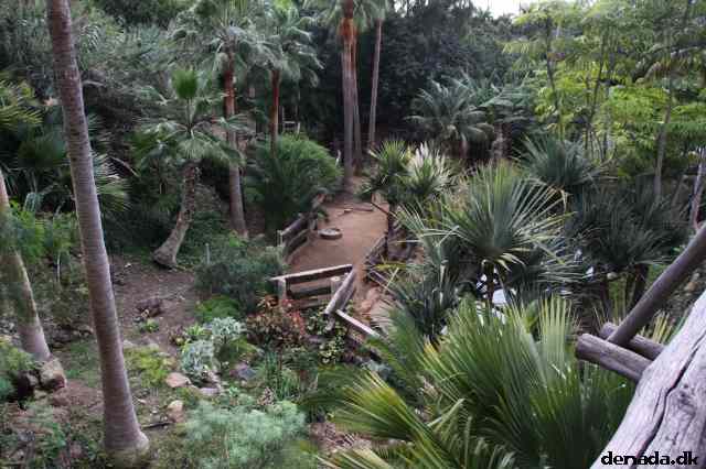 * Image 2003