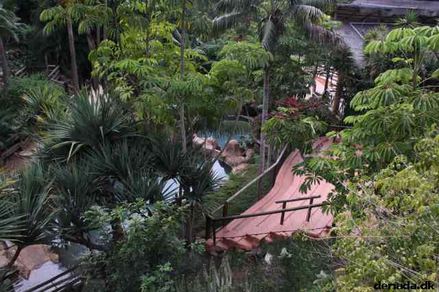 * Image 2004