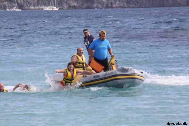 * Image 1307