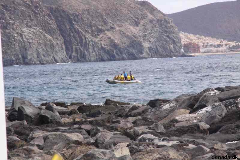 * Image 1321