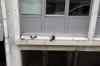 201001260010m.jpg - 2010:01:26 09:41:29