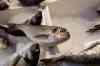 201001260090m.jpg - 2010:01:26 10:52:34