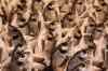 201001260092m.jpg - 2010:01:26 10:53:52