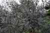 201001260179m.jpg - 2010:01:26 12:24:11