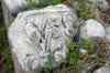 201001260199m.jpg - 2010:01:26 12:35:10