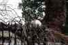 201001260241m.jpg - 2010:01:26 13:00:45