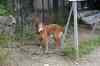 201001260259m.jpg - 2010:01:26 13:18:44