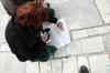 201001260260m.jpg - 2010:01:26 13:20:23