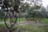 201001260263m.jpg - 2010:01:26 13:37:44