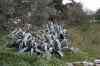 201001260266m.jpg - 2010:01:26 13:40:32
