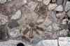 201001260301m.jpg - 2010:01:26 14:10:18